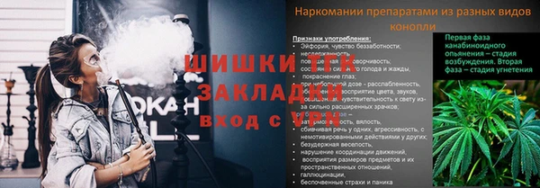мяу мяу мука Горняк