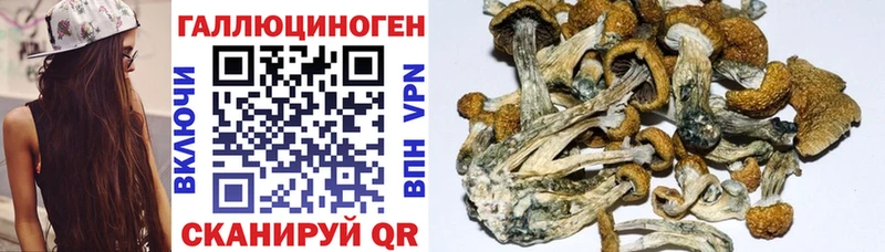 Галлюциногенные грибы мицелий  Заозёрск 